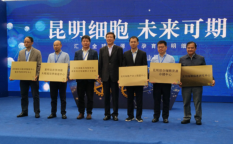 电子游戏app下载安装