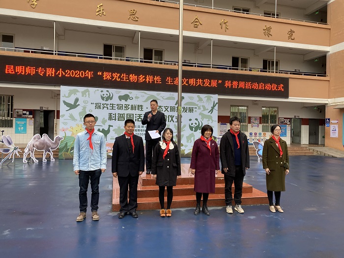 电子游戏app下载安装