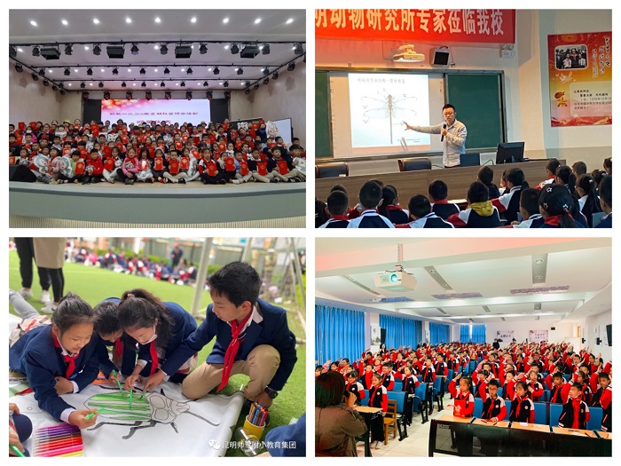 电子游戏app下载安装