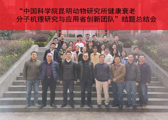 电子游戏app下载安装