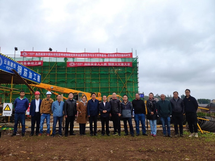 电子游戏app下载安装