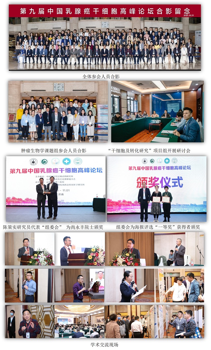 电子游戏app下载安装