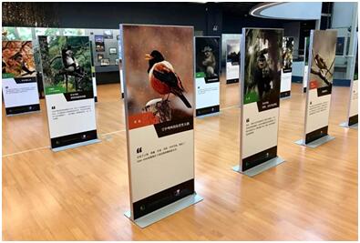 电子游戏app下载安装