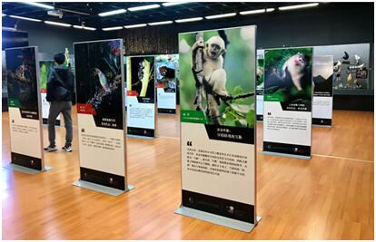 电子游戏app下载安装