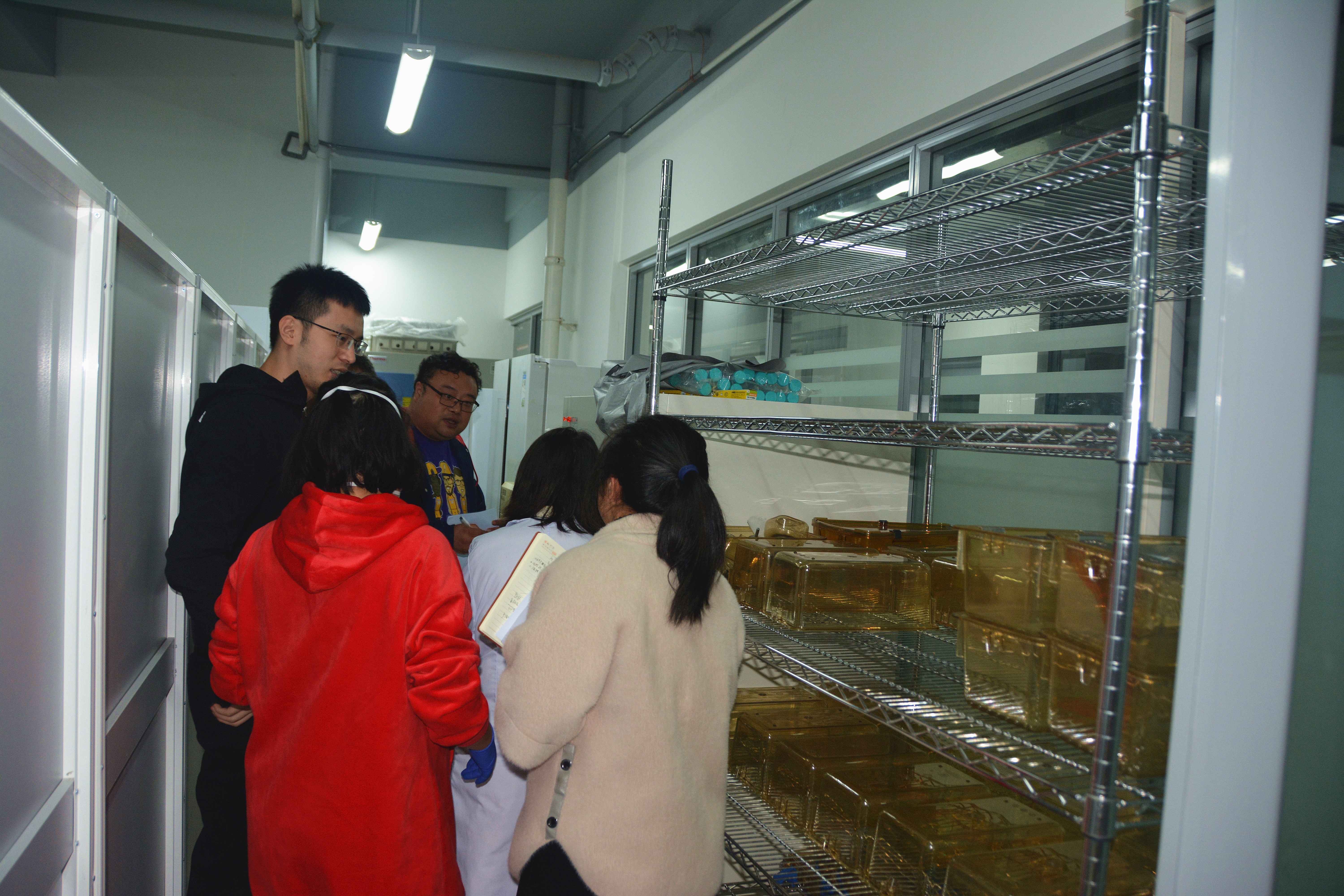 电子游戏app下载安装