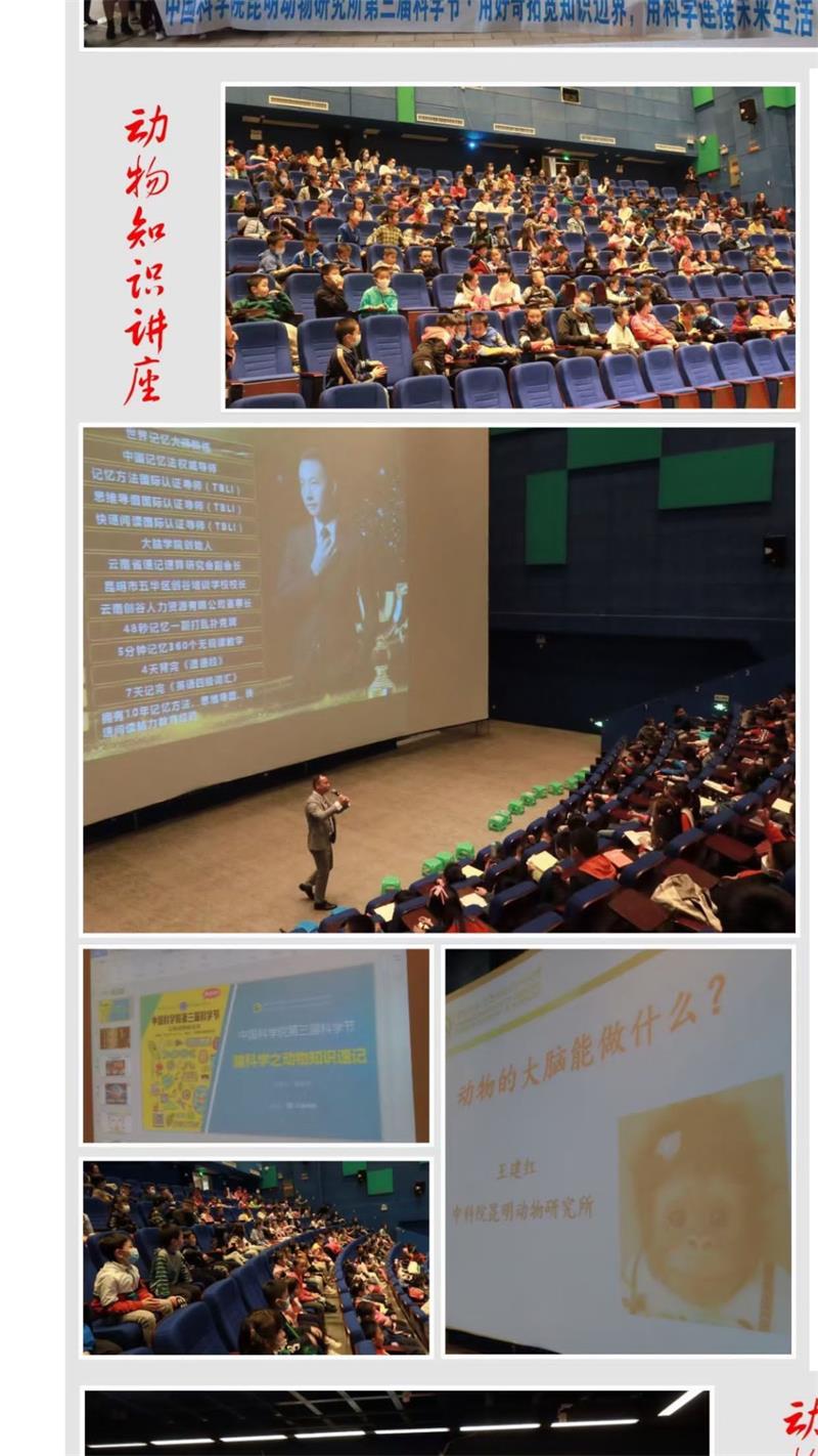 电子游戏app下载安装