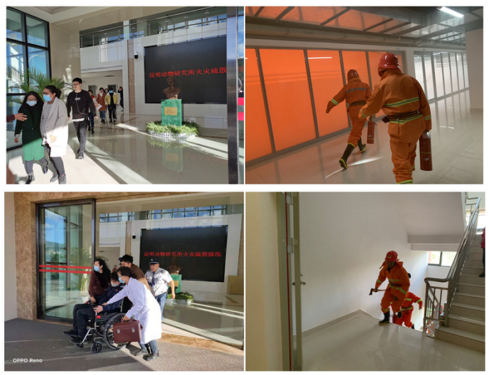 电子游戏app下载安装