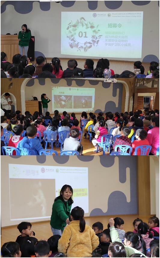 电子游戏app下载安装