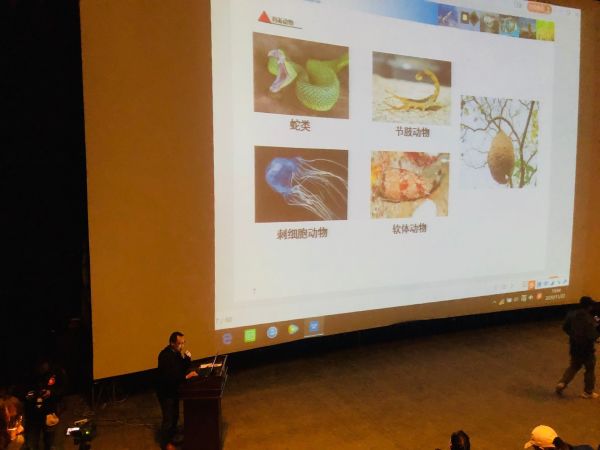 电子游戏app下载安装