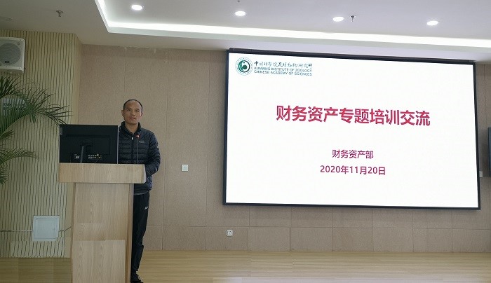 电子游戏app下载安装