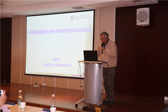 电子游戏app下载安装