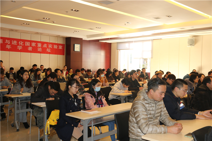 电子游戏app下载安装