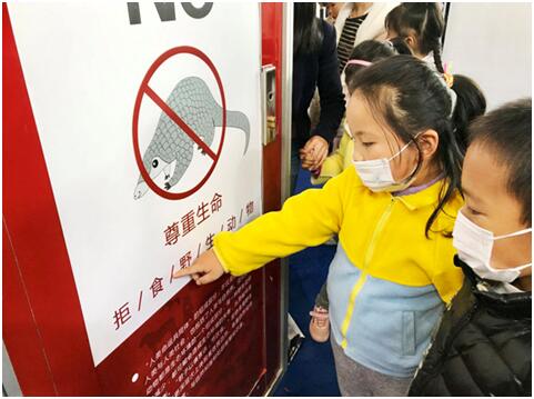 电子游戏app下载安装