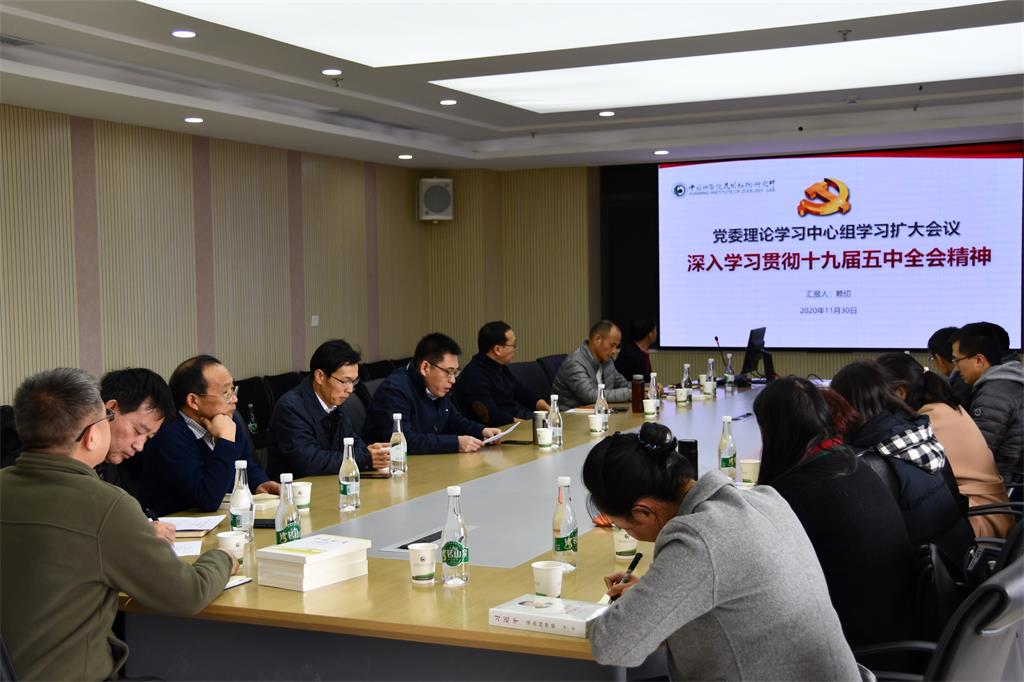 电子游戏app下载安装