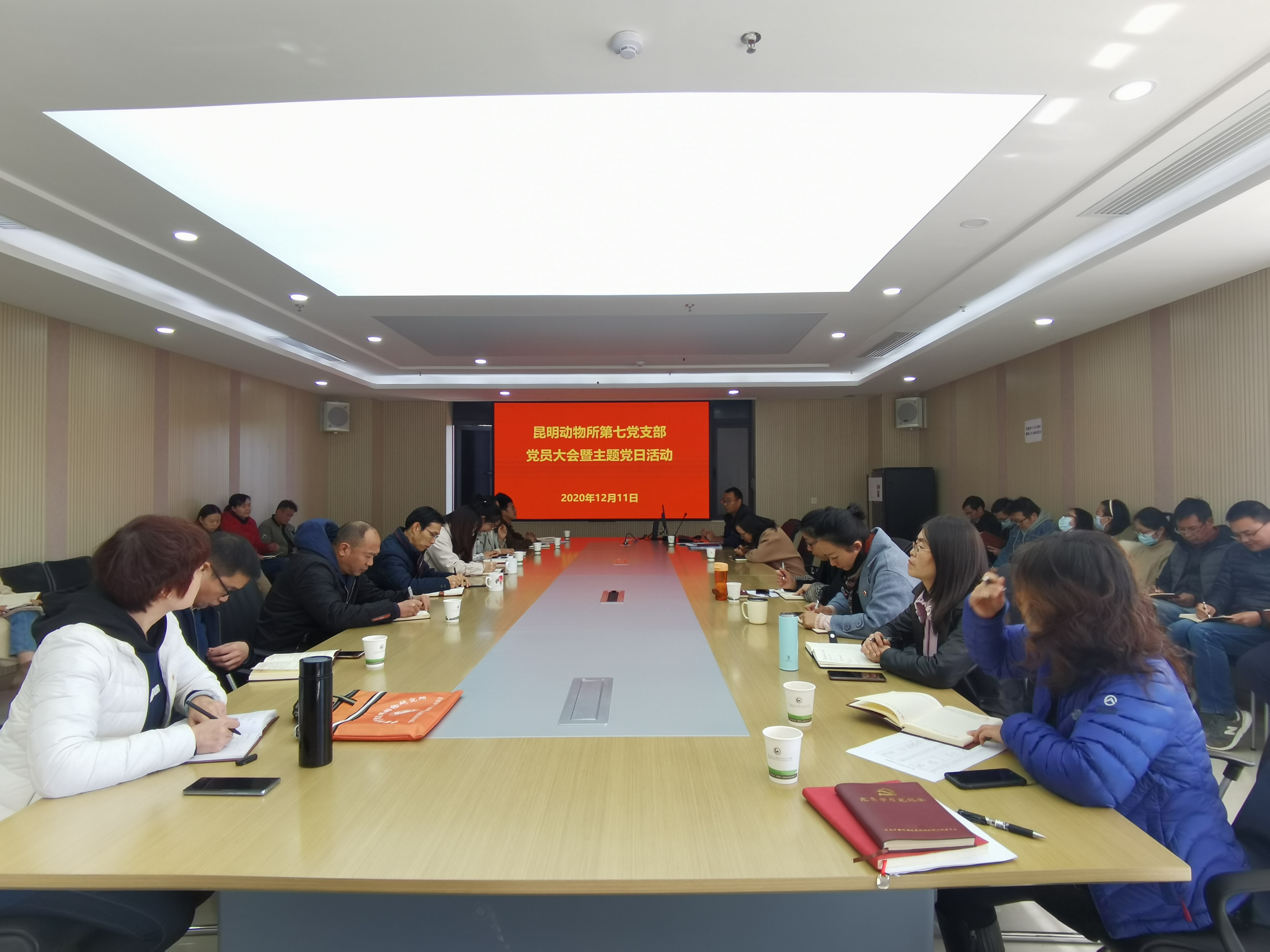 电子游戏app下载安装