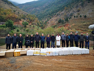 电子游戏app下载安装