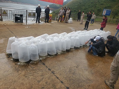 电子游戏app下载安装