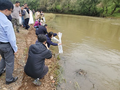 电子游戏app下载安装