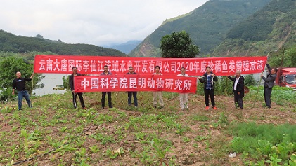 电子游戏app下载安装