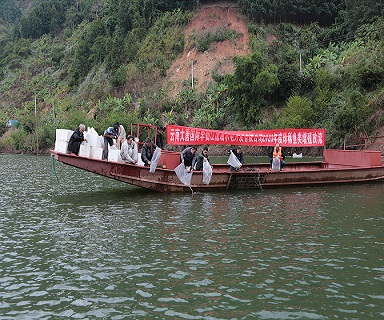 电子游戏app下载安装