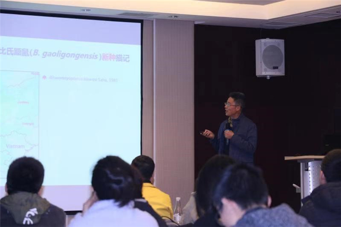 电子游戏app下载安装