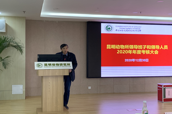 电子游戏app下载安装