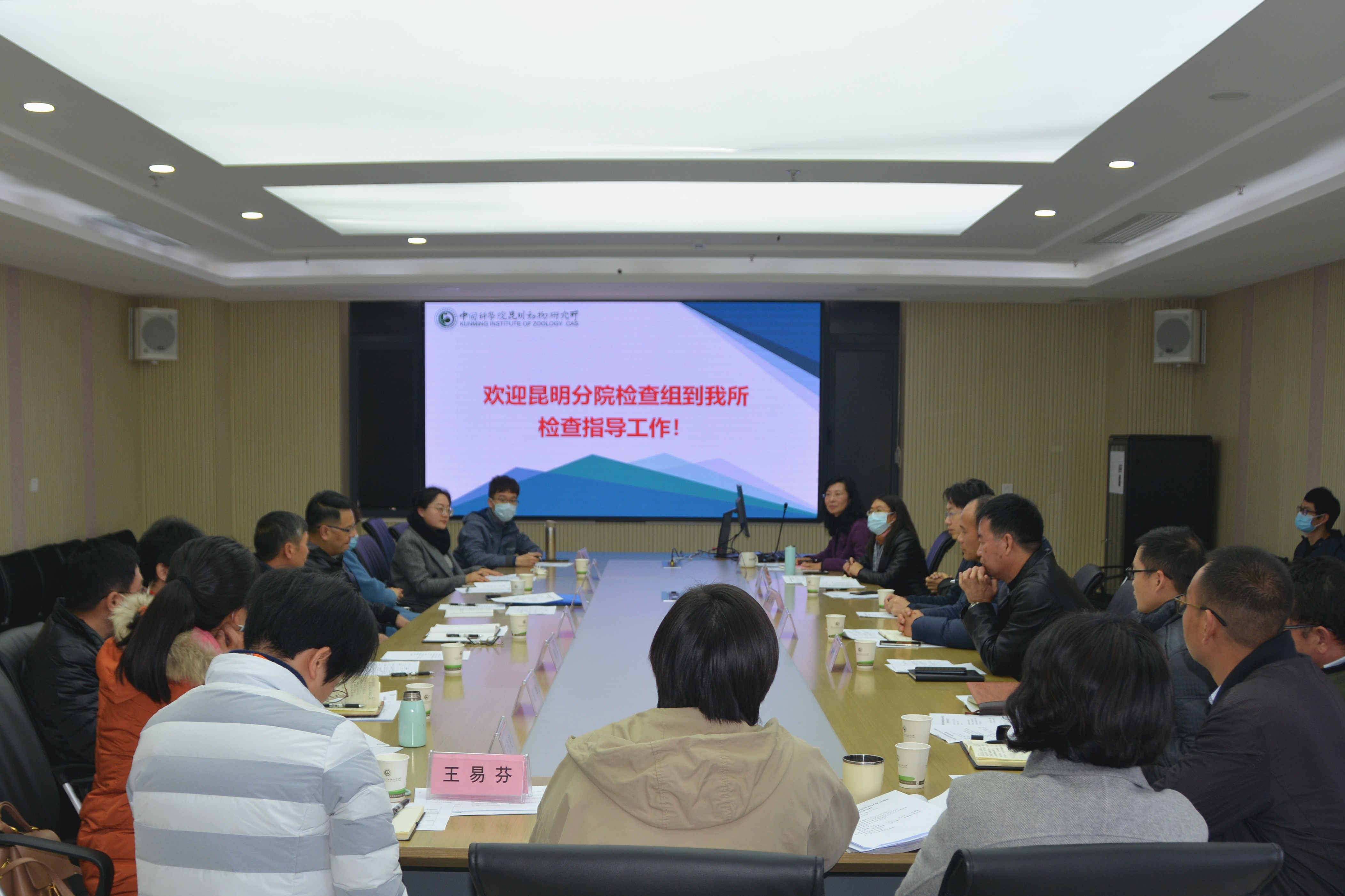 电子游戏app下载安装