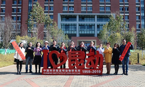 电子游戏app下载安装