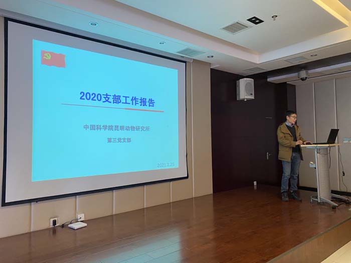 电子游戏app下载安装