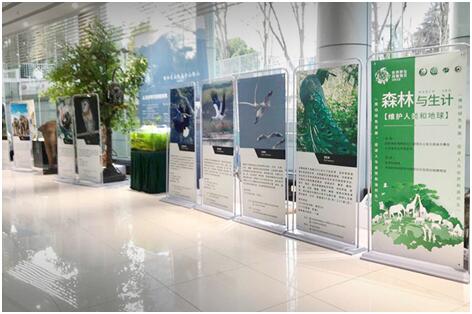 电子游戏app下载安装