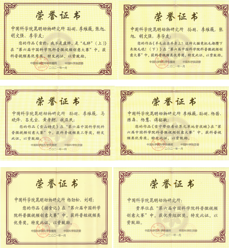 电子游戏app下载安装