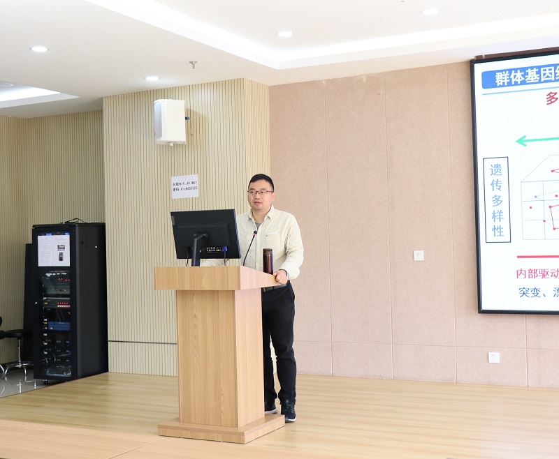 电子游戏app下载安装