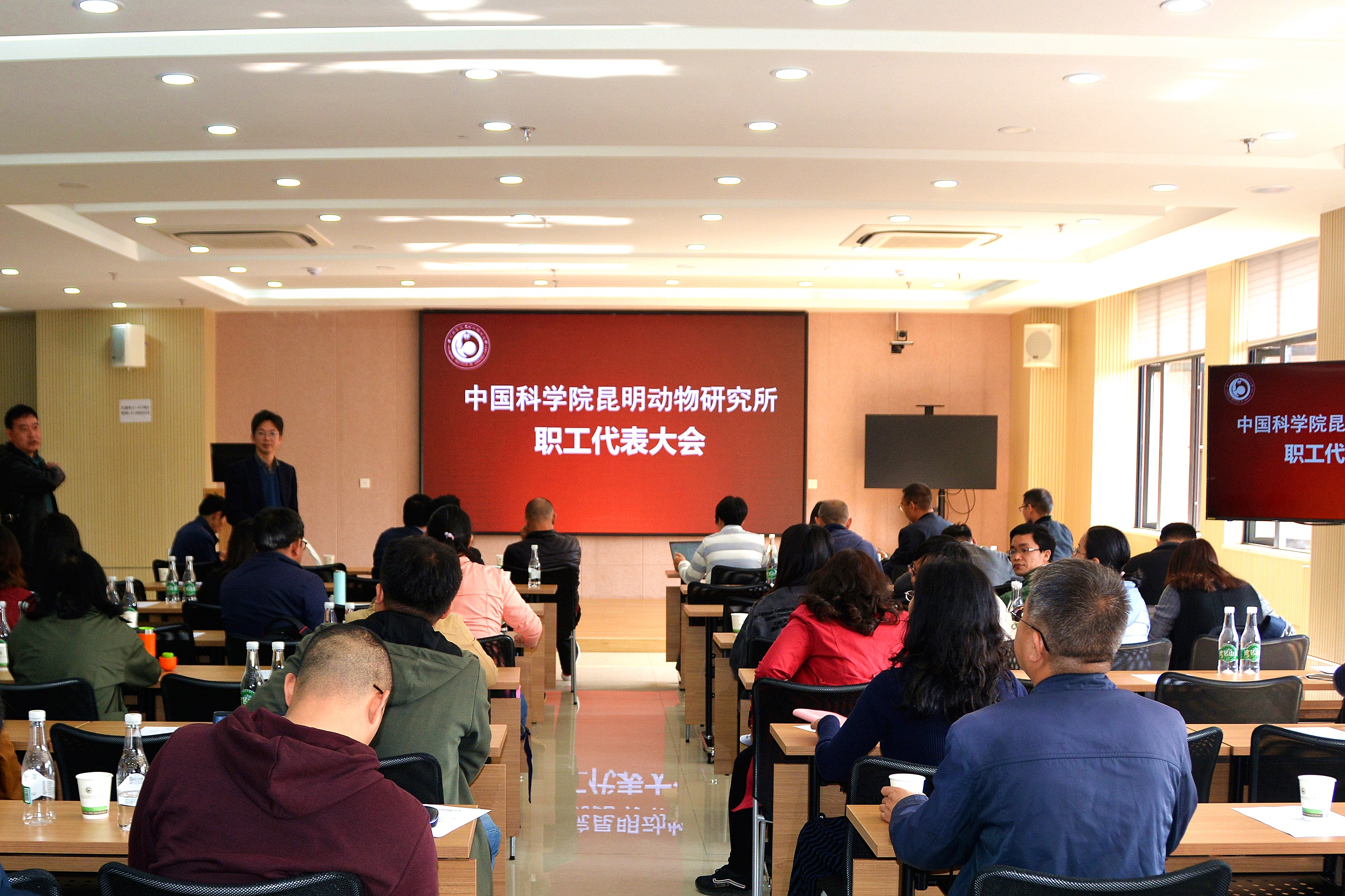 电子游戏app下载安装