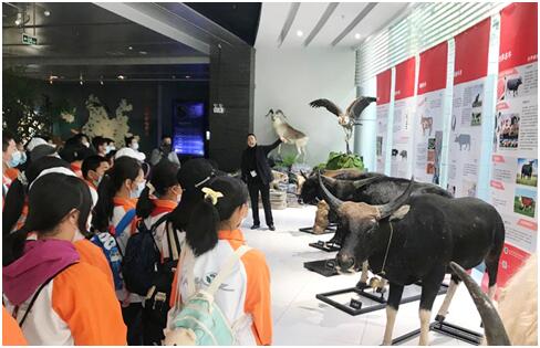 电子游戏app下载安装