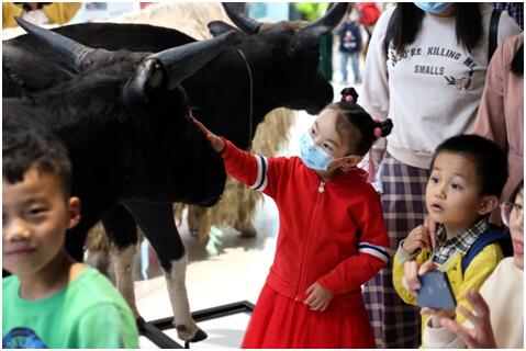 电子游戏app下载安装