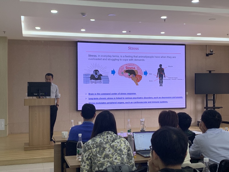 电子游戏app下载安装