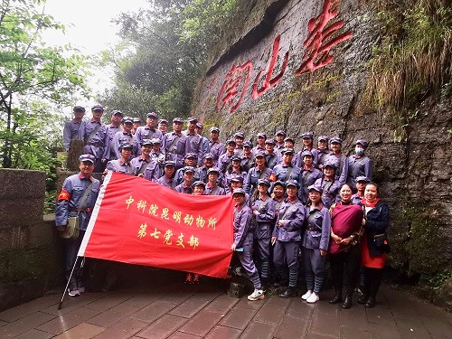 电子游戏app下载安装