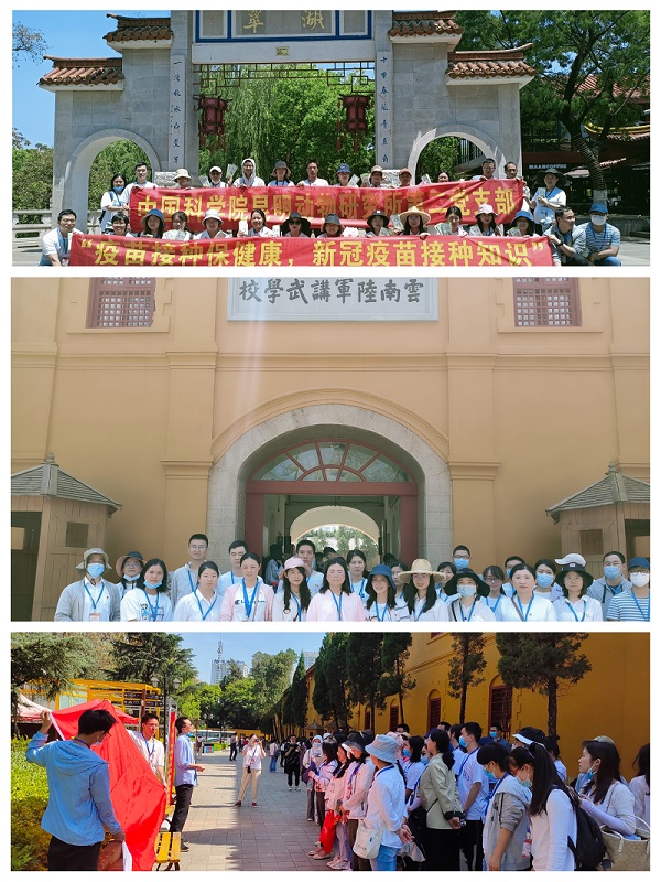 电子游戏app下载安装