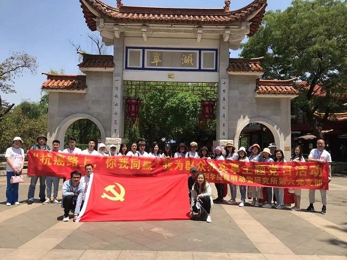 电子游戏app下载安装