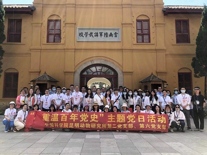 电子游戏app下载安装