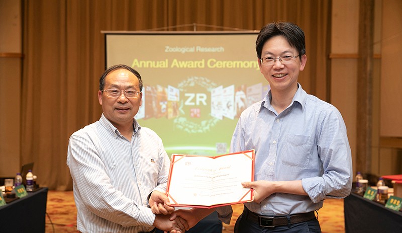 电子游戏app下载安装