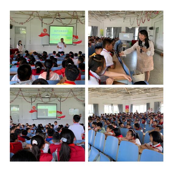 电子游戏app下载安装