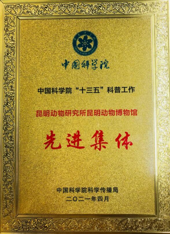 电子游戏app下载安装