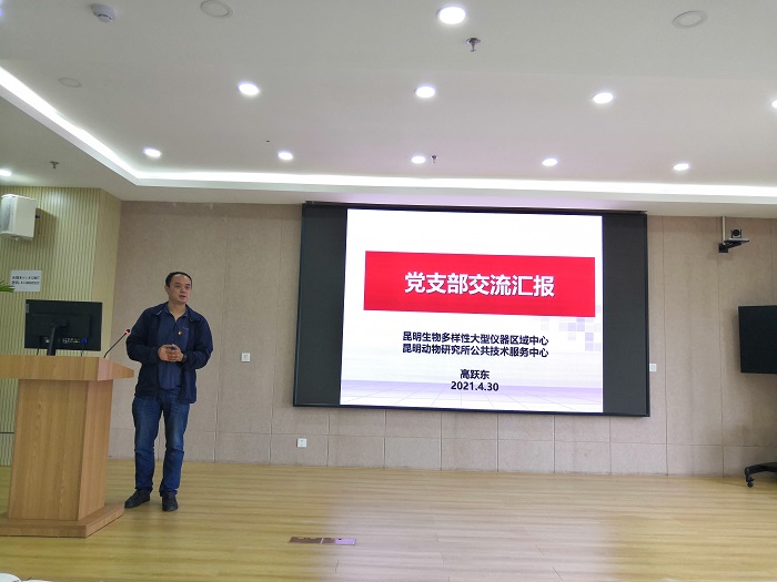 电子游戏app下载安装