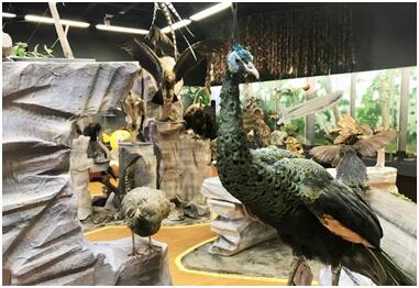 电子游戏app下载安装