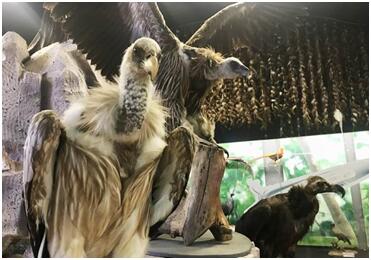 电子游戏app下载安装