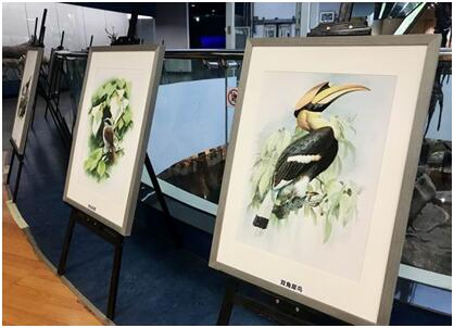 电子游戏app下载安装