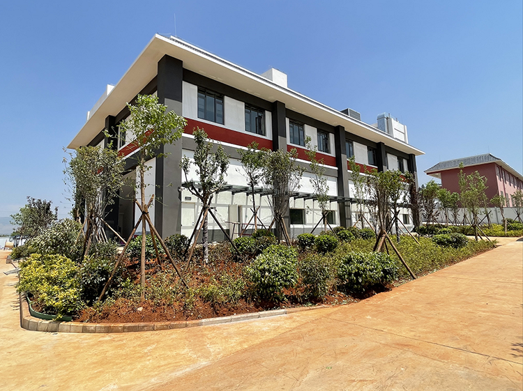 电子游戏app下载安装