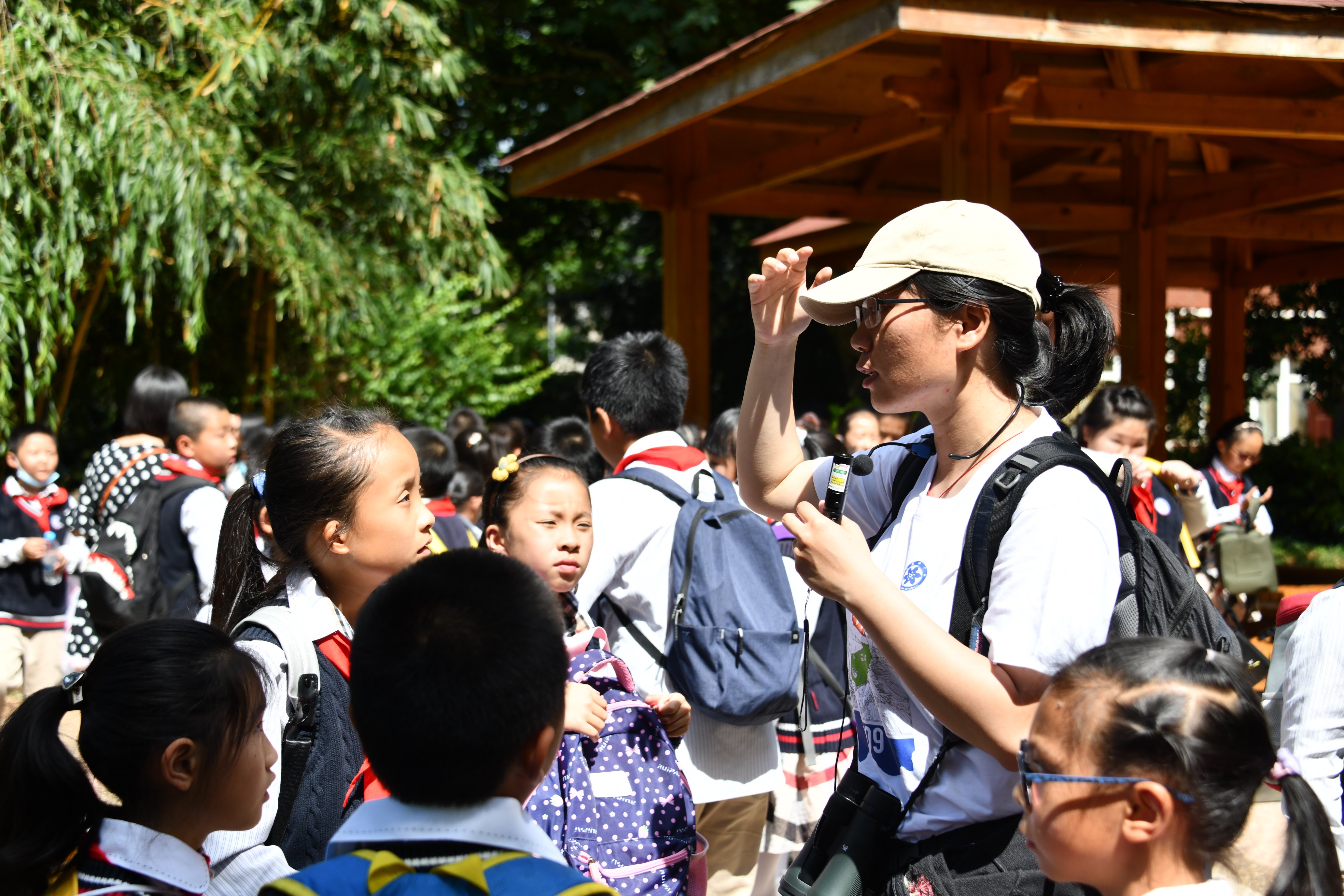 电子游戏app下载安装