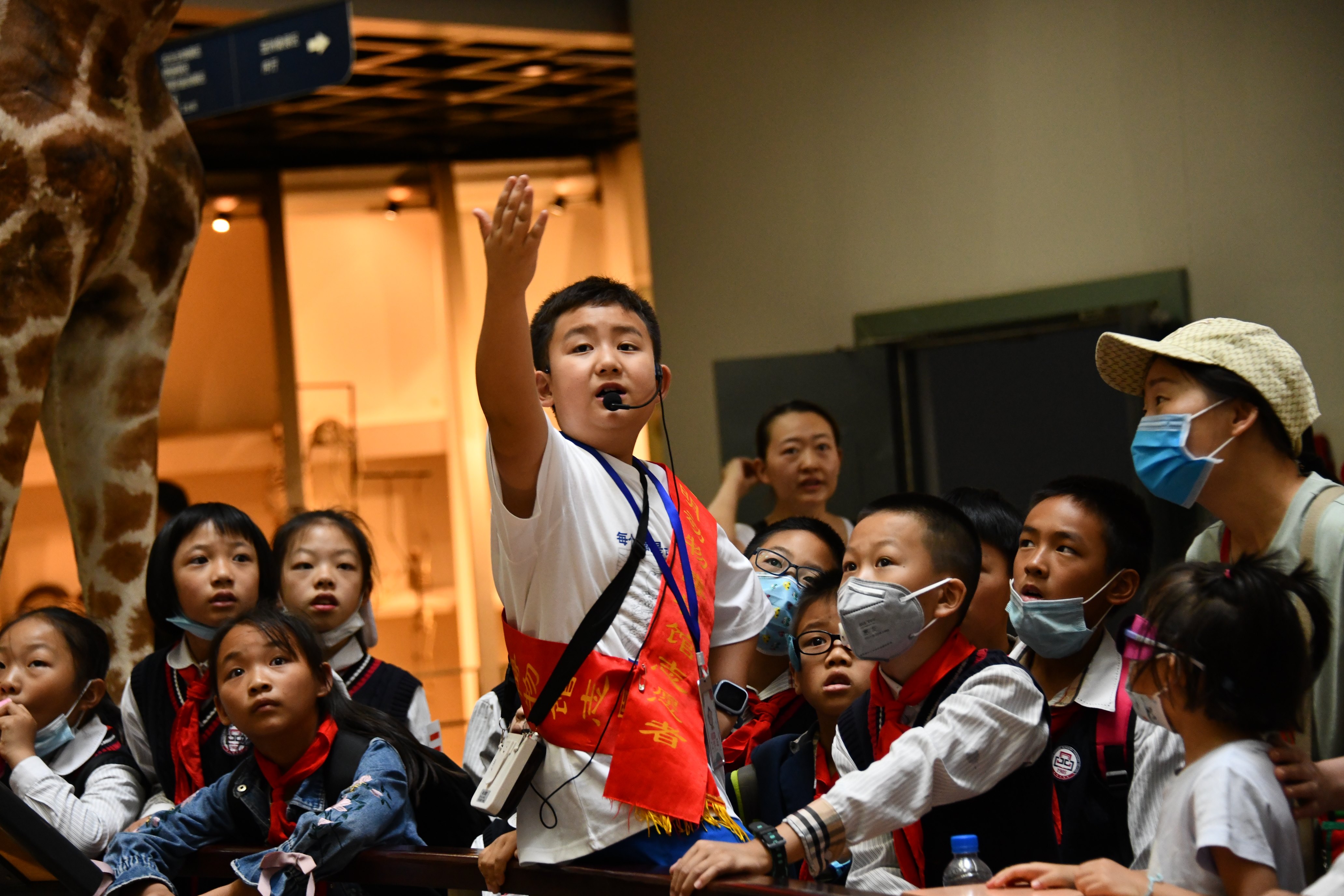 电子游戏app下载安装